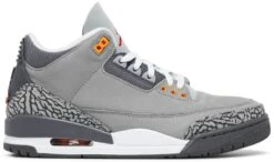 Air Jordan 3 Retro "COOL GREY" 2021