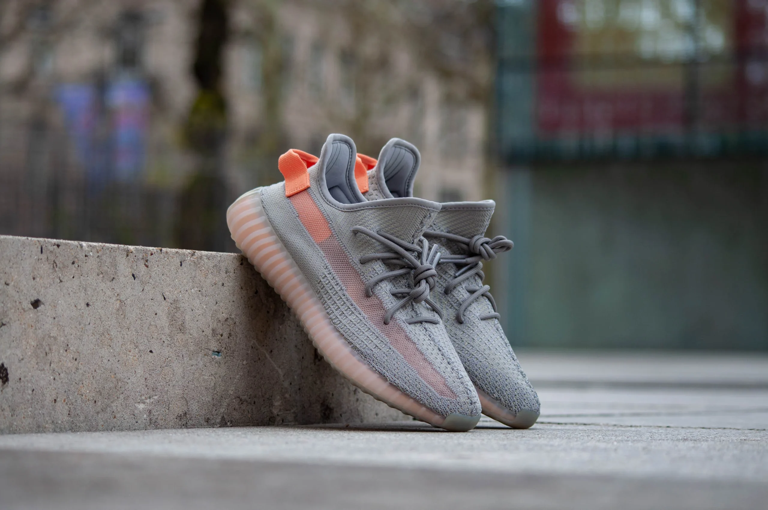 SOLE SUPREMACY SHOES -SOLE SUPREMACY SHOES Adidas Yeezy Boost 350 V2 True Form EG7492 La Boite Collector Sneakers Shop Lille9 scaled