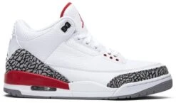 Air Jordan 3 Retro "HALL OF FAME"